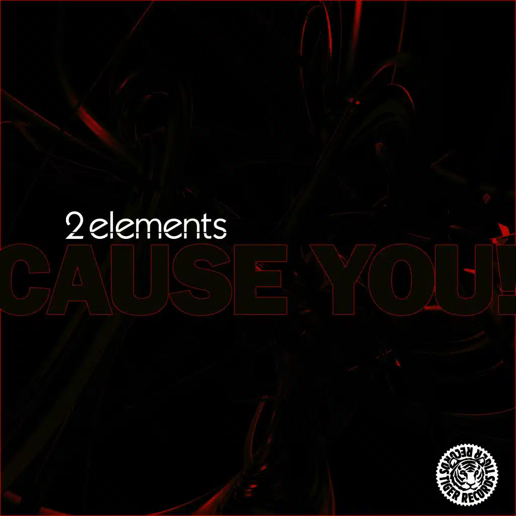Cause You! (EDM Mix)