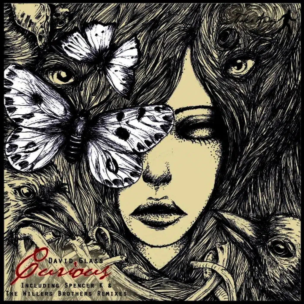 David Glass - Curious