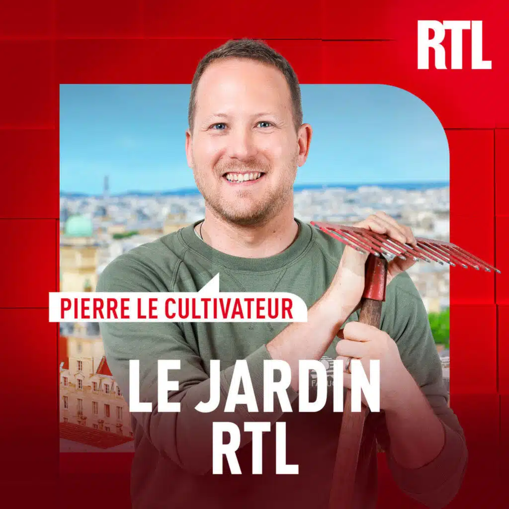 Jardinage : pourquoi il faut continuer la récolte des tomates en automne