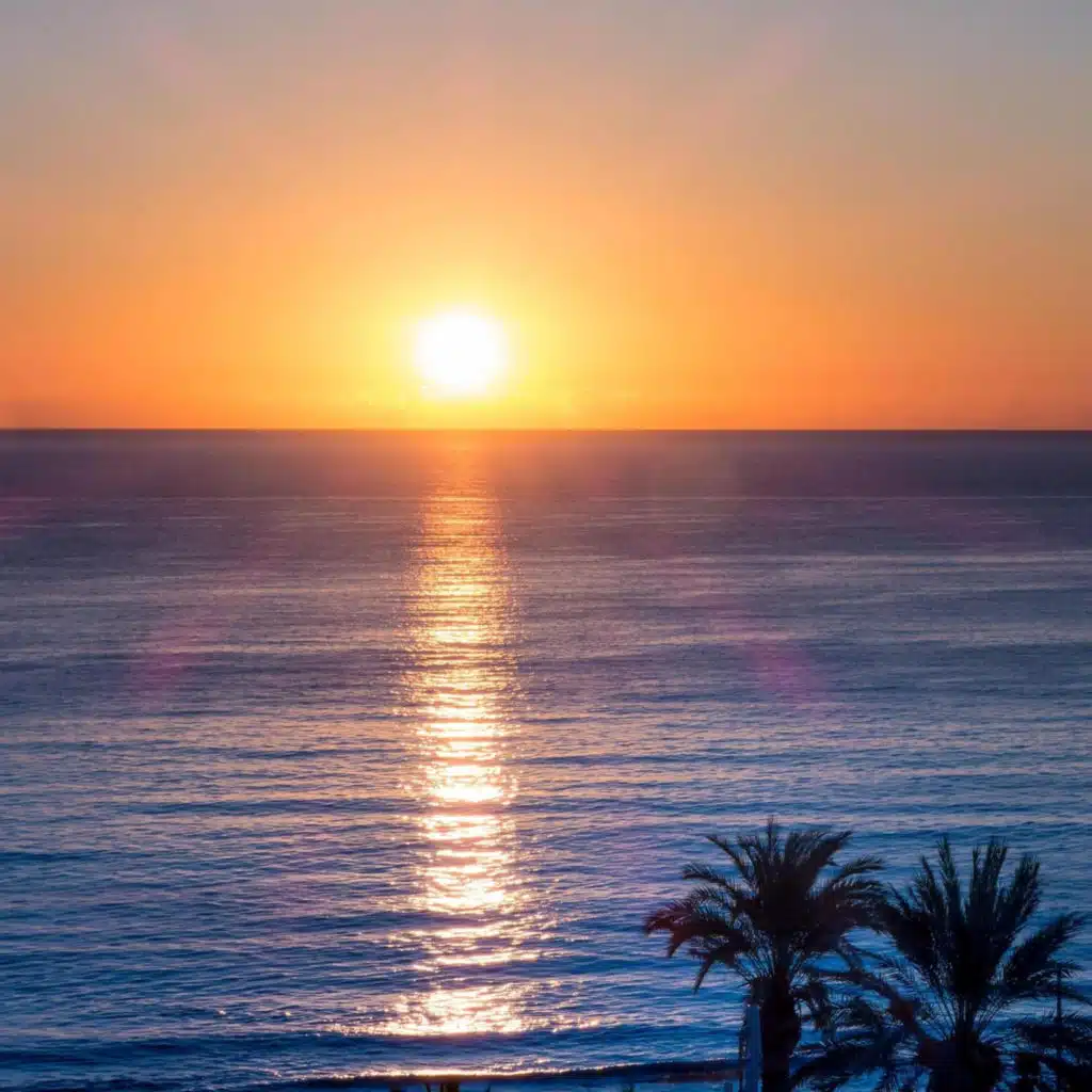 Summer Dream (feat. Rammix)