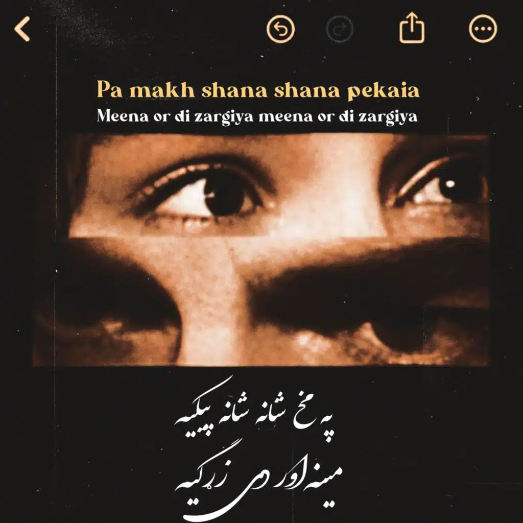 مینه اور دی زړګیه Meena Or Di Zargiya پښتو ښایسته غزل Pashto Top Ghazal