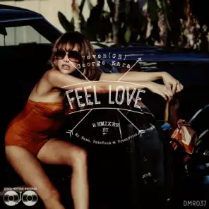 Feel Love (FakeFunk Remix)