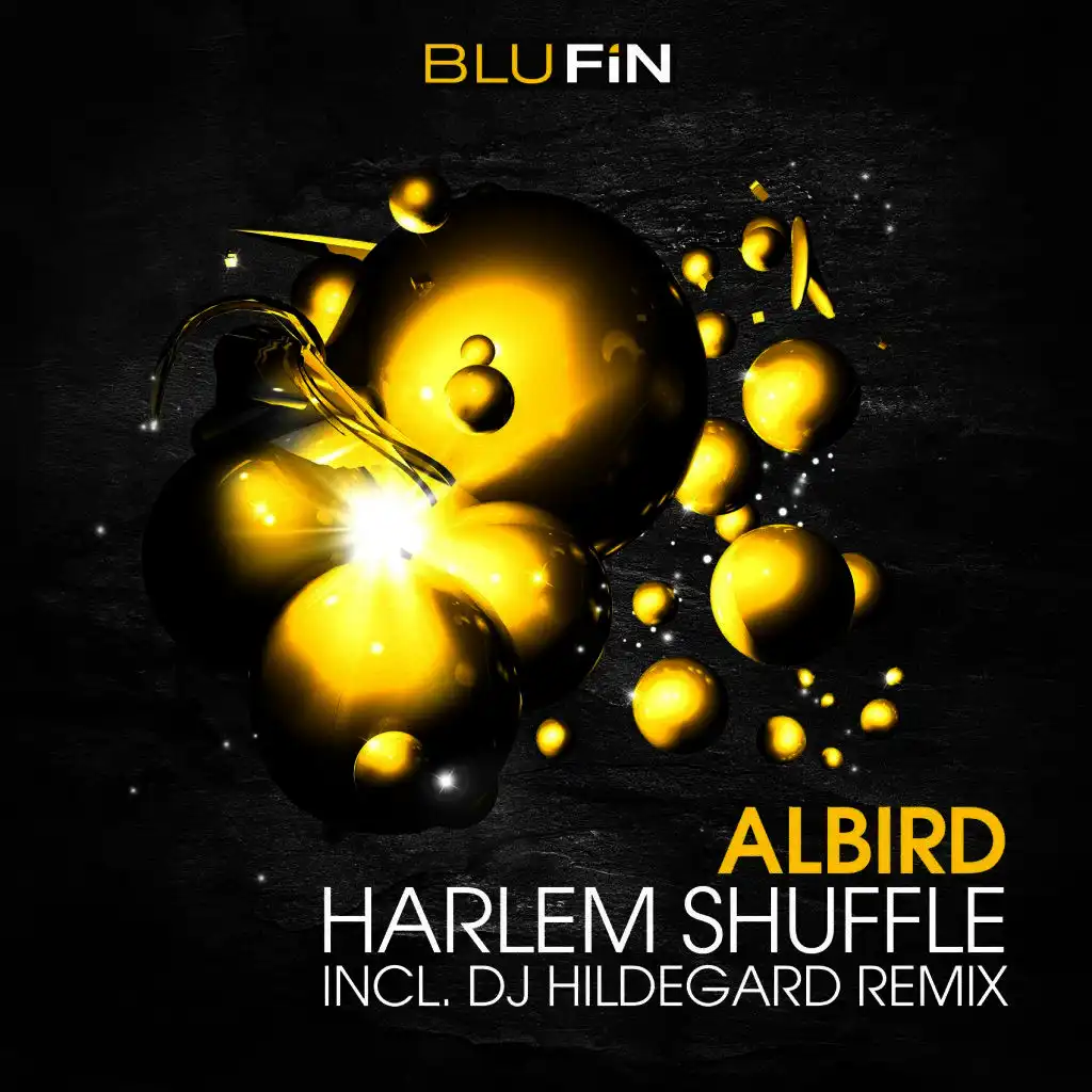 Harlem Shuffle (DJ Hildegard Remix)