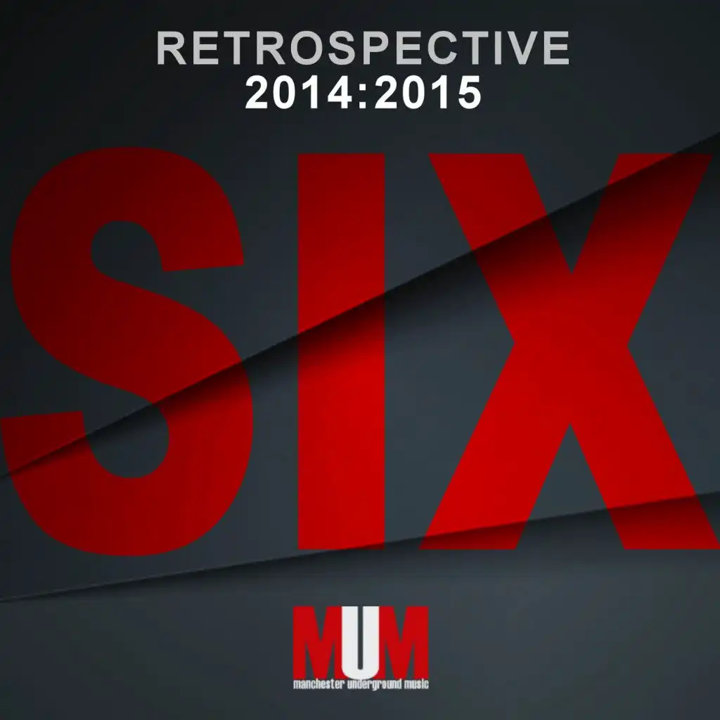 Retrospective 2014:2015, Vol. 6