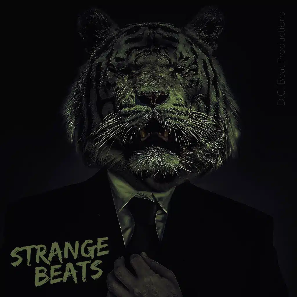 D.C. Beat Productions