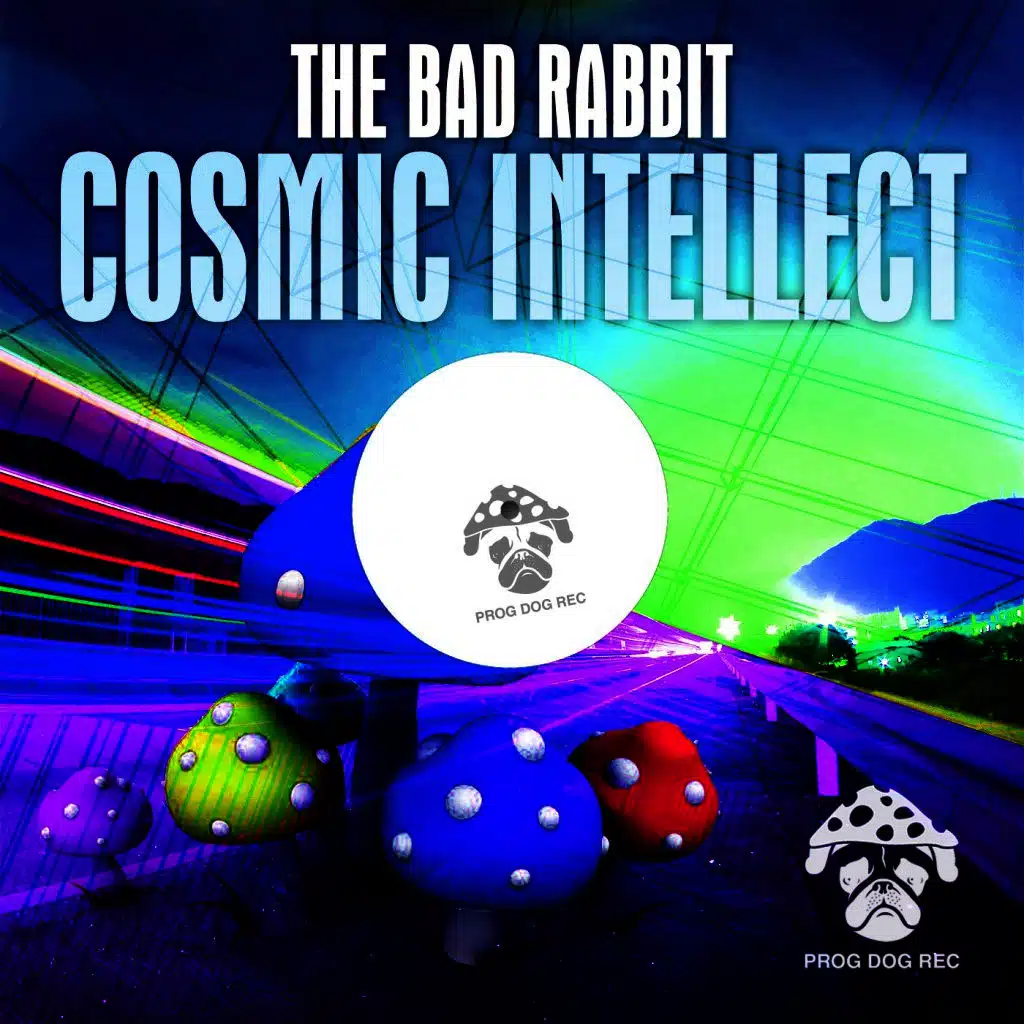 Cosmic Intellect