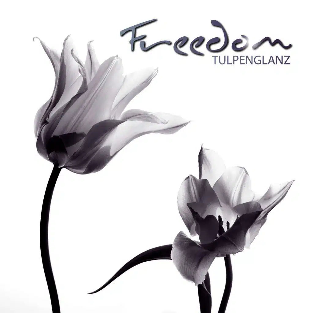 Freedom (Mattia Matto Remix)