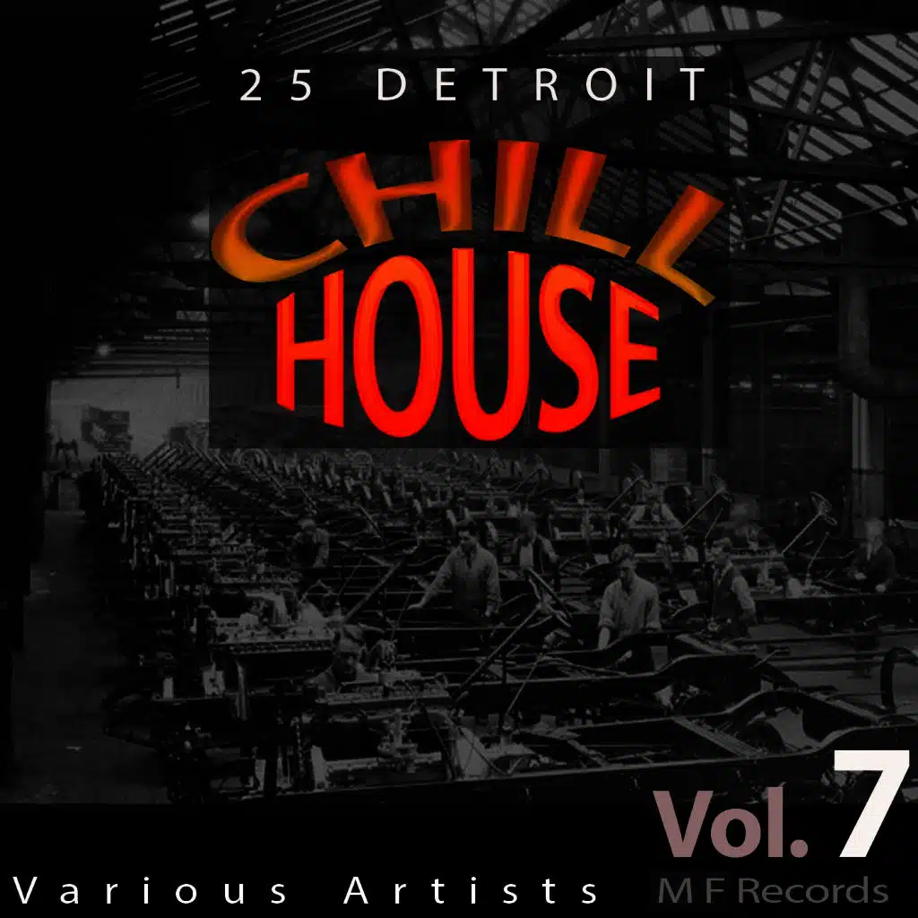 25 Detroit Chillhouse, Vol. 7