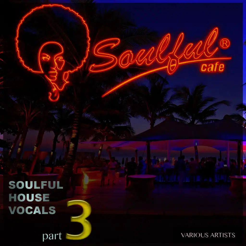 Soulful House Vocals, Pt. 3
