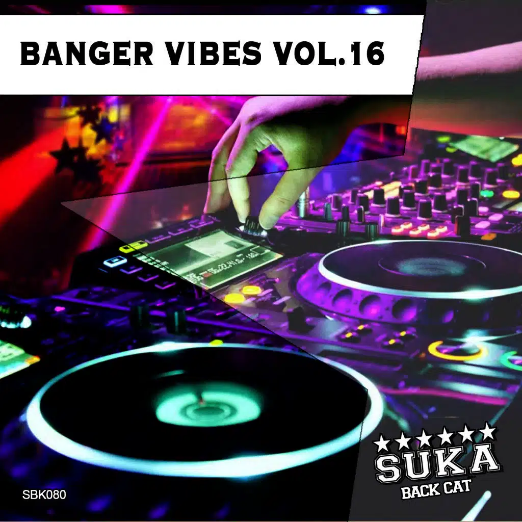 Banger Vibes, Vol. 16