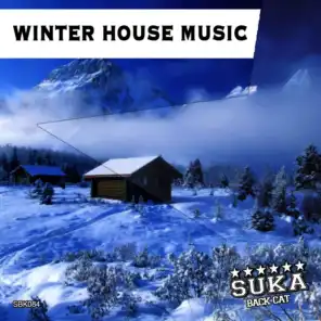 Winter House Music