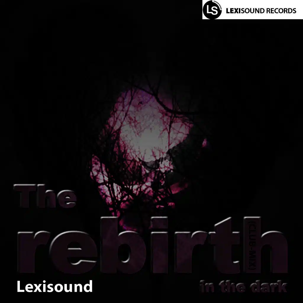 The Rebirth in the Dark
