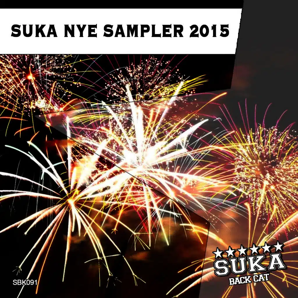 Suka Nye Sampler 2015