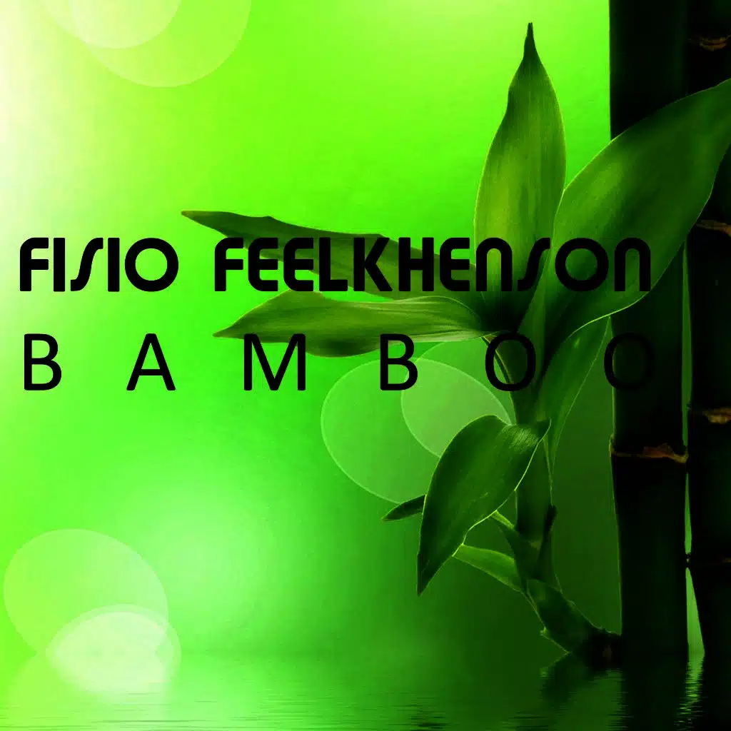 Bamboo