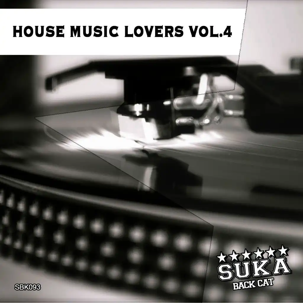 House Music Lovers Vol. 4