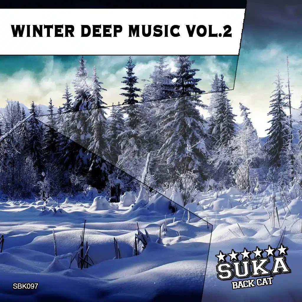Winter Deep Music, Vol. 2