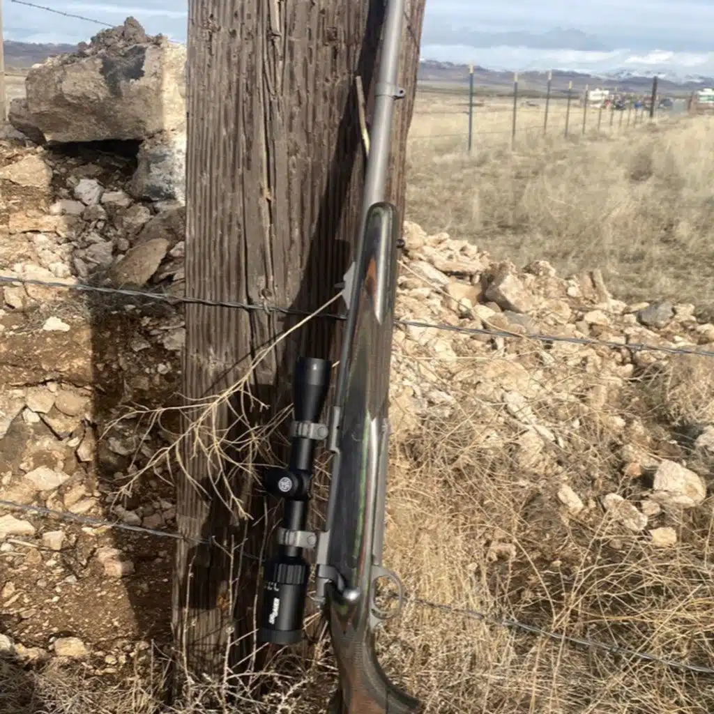 Affordable Winchester 70 pre 64 Alternatives