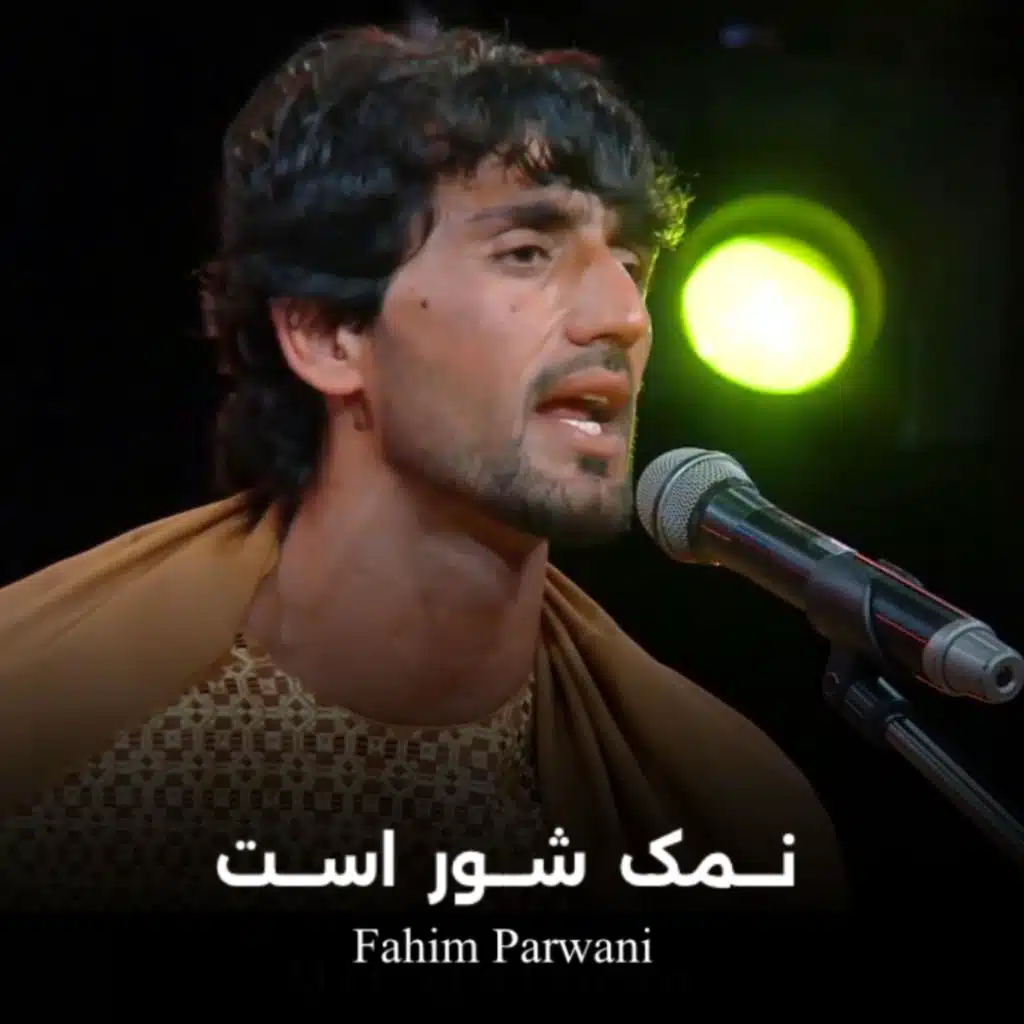 نمک شور است به زخم تازه ننداز