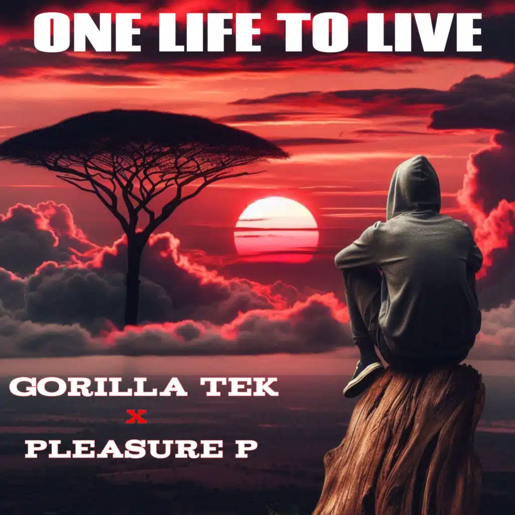 One Life (feat. Pleasure P)