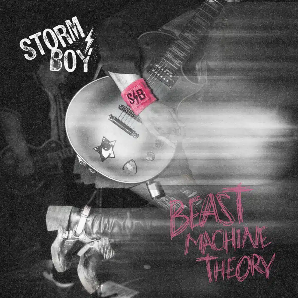 Storm Boy