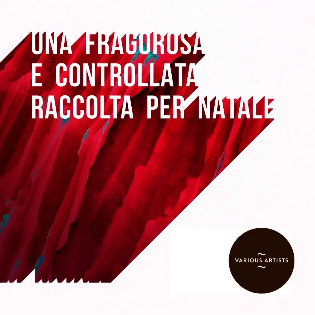 Una Fragorosa E Controllata Raccolta Per Natale