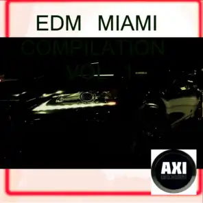 EDM Miami Compilation, Vol. 1