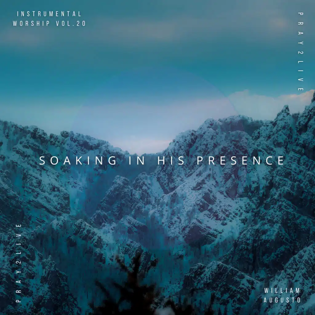 Soaking in His Presence, Vol. 20