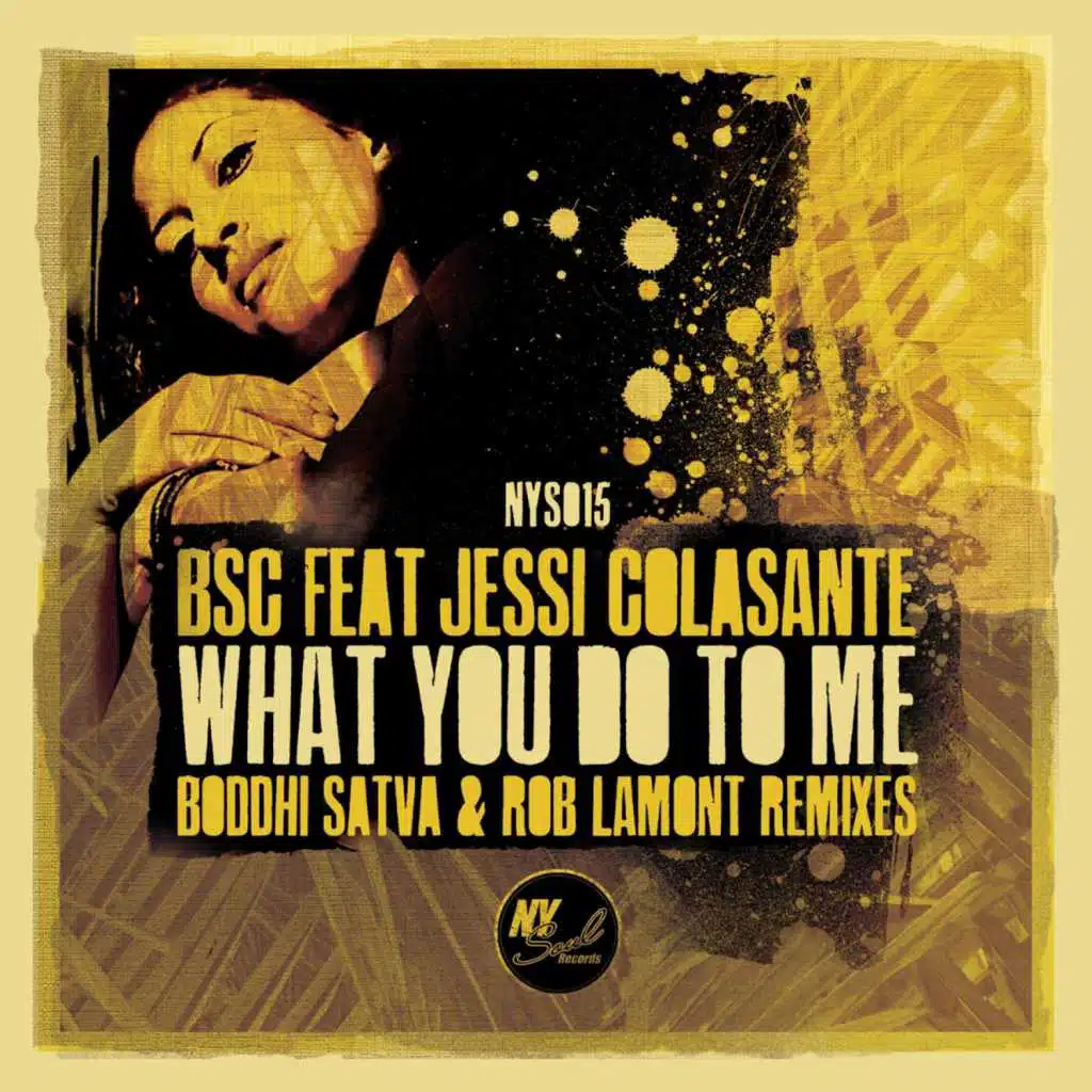What You Do to Me (Boddhi Satva Remixes) [feat. Jessi Colosante]