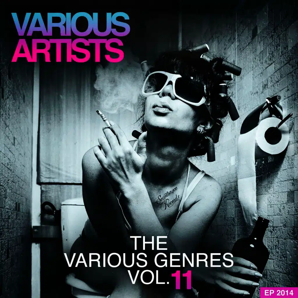 The Various Genres 2014, Vol. 11 - EP