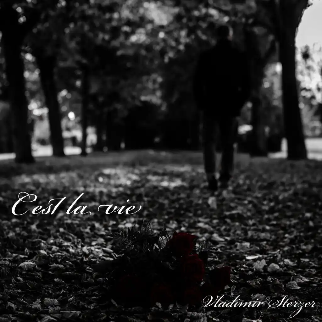 C'est la vie (Radio Edit)