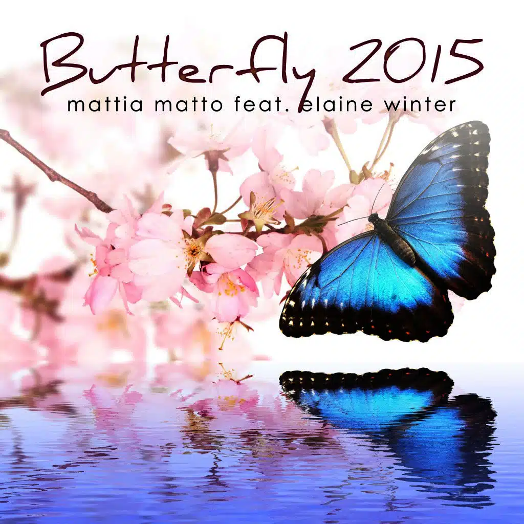 Butterfly 2015
