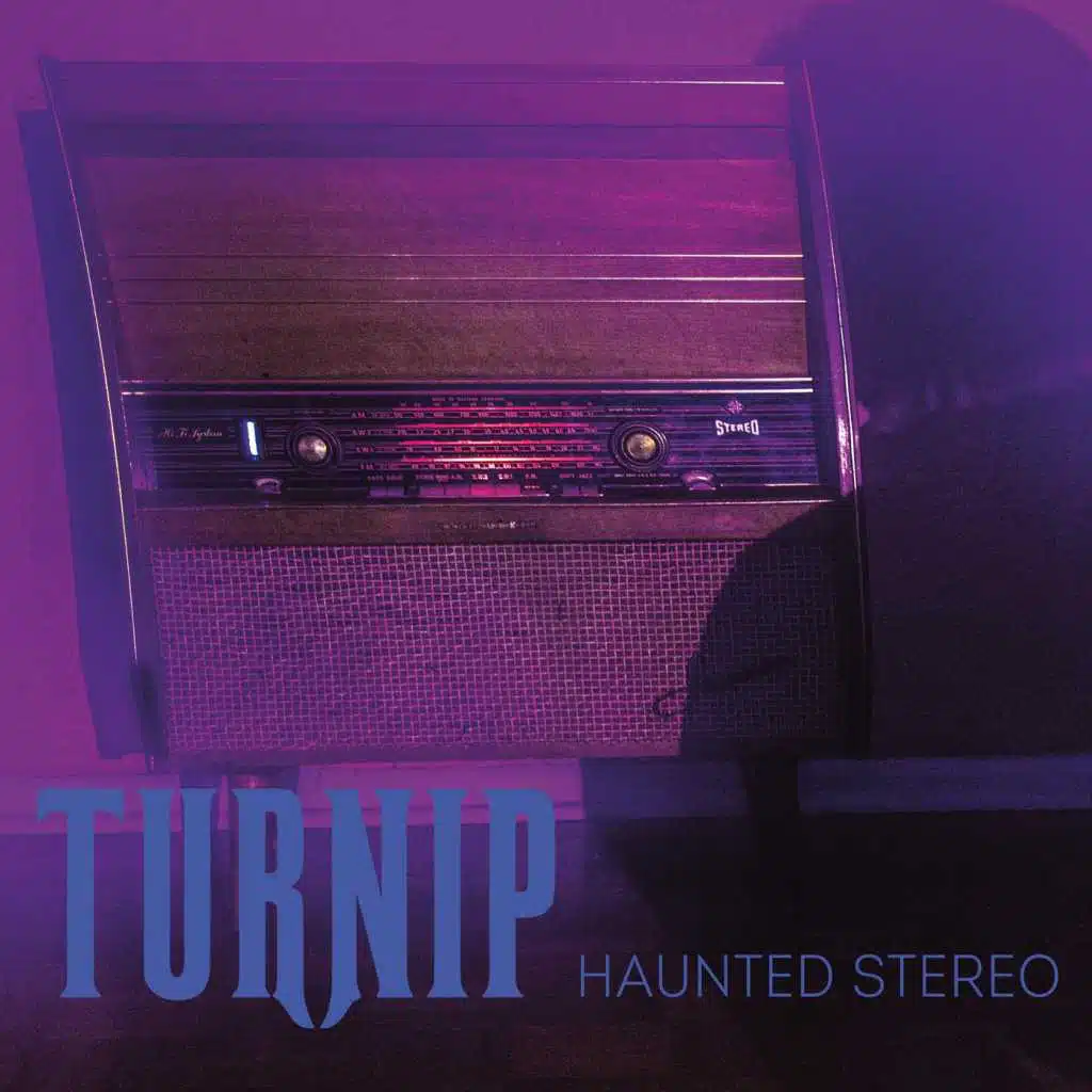 Haunted Stereo