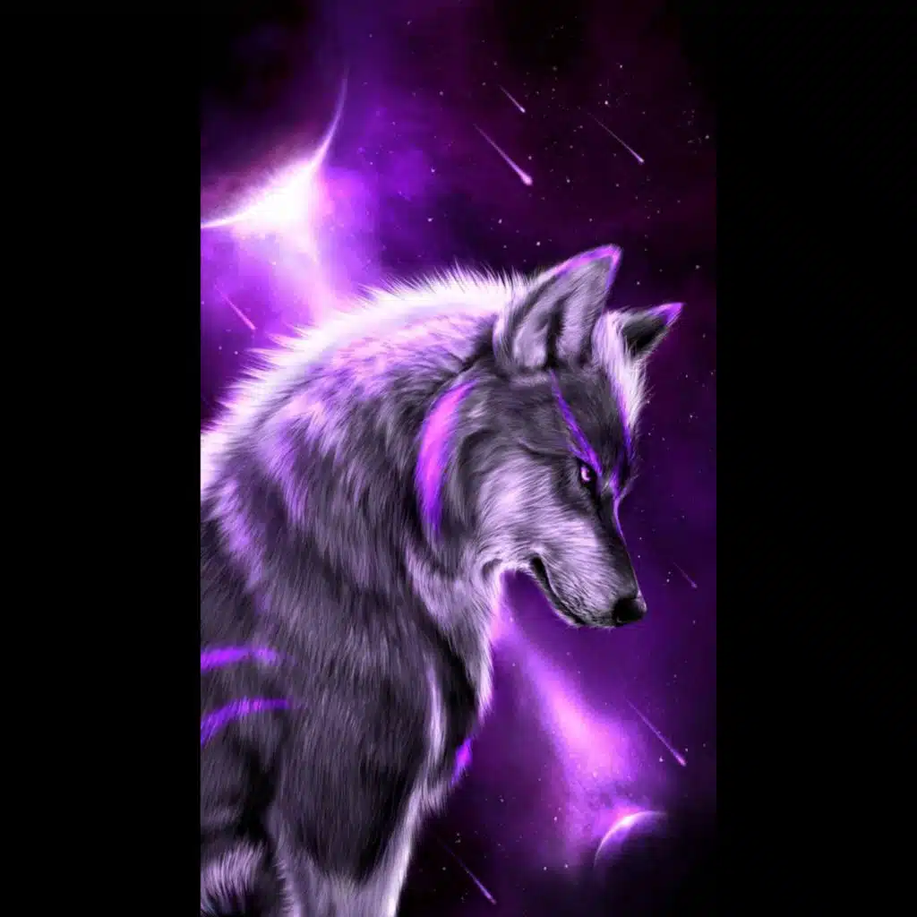 valley of the wolves (Instrumental Version)