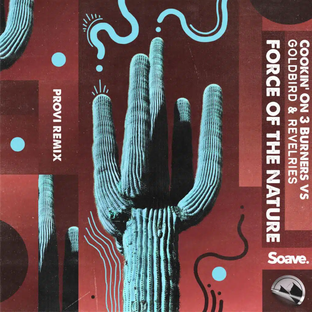 Force of Nature (Provi Remix)