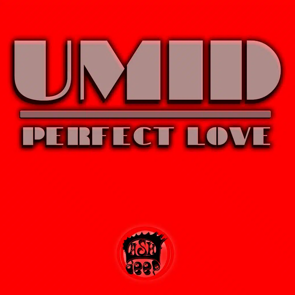 Perfect Love (Mr. Laz Remix)