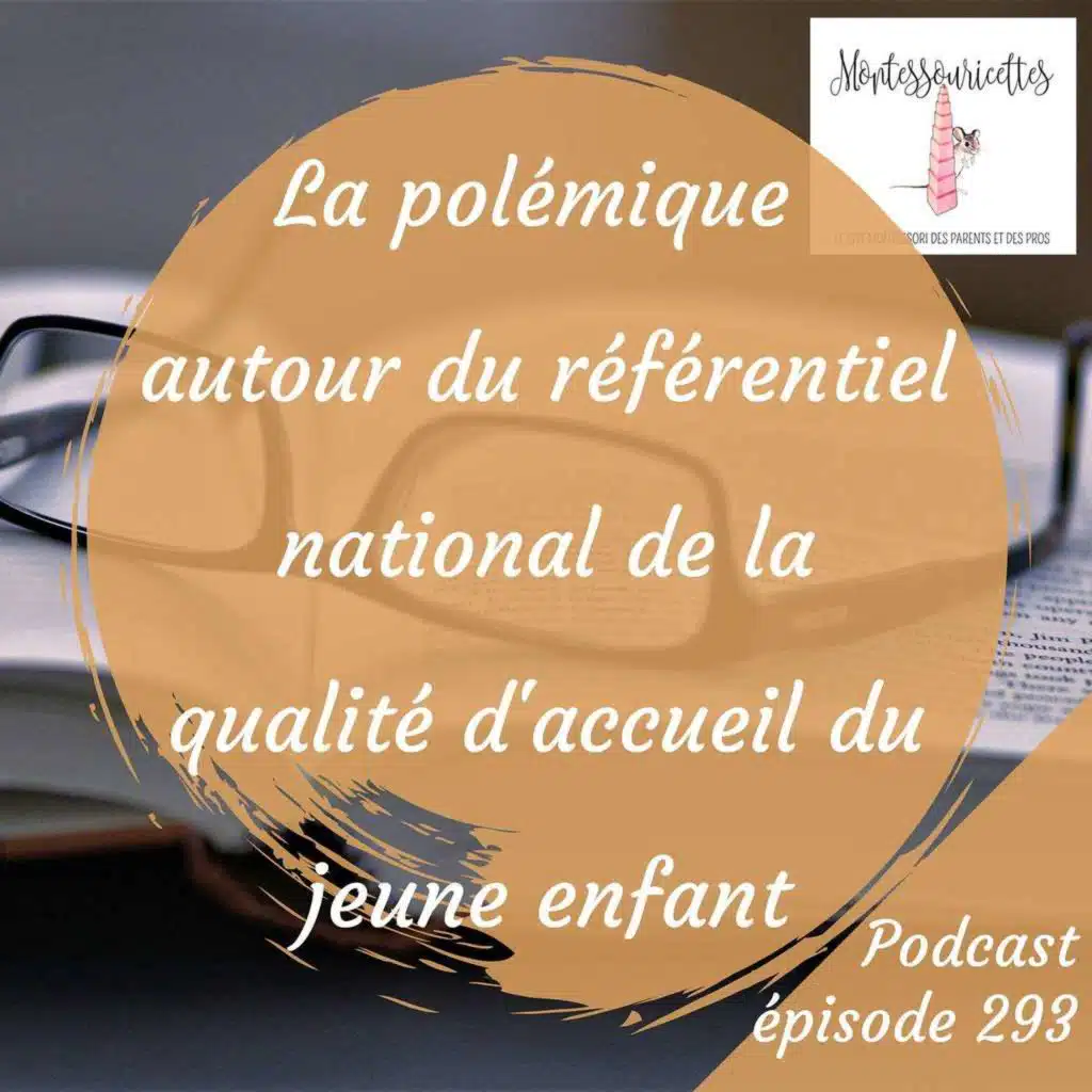 293. La polémique autour du référentiel national de la qualité d'accueil du jeune enfant