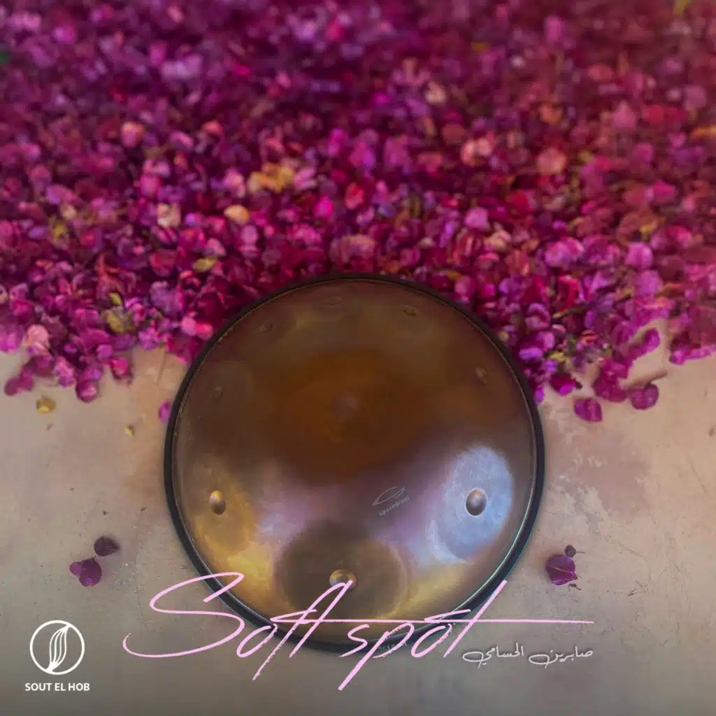 سوفت سبوت