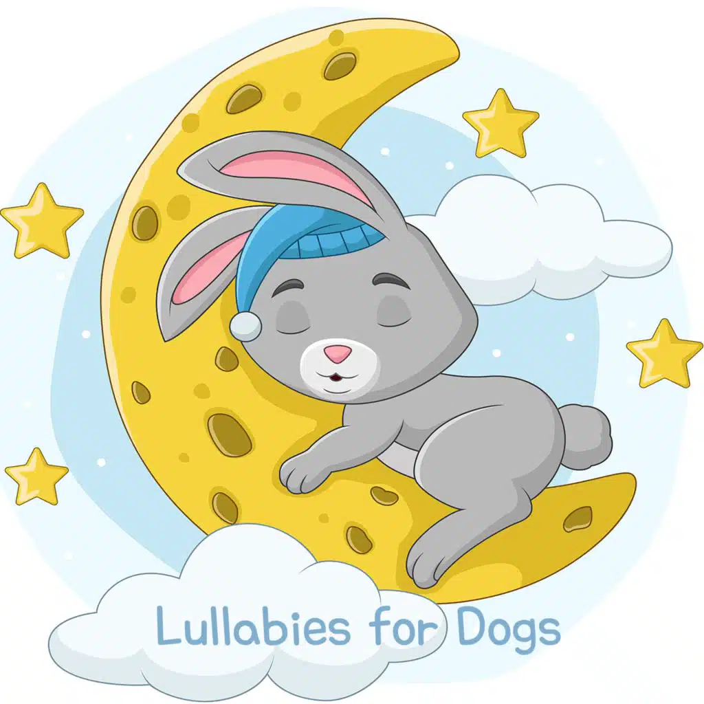 꽃들의 자장가 (밤풀벌레소리)