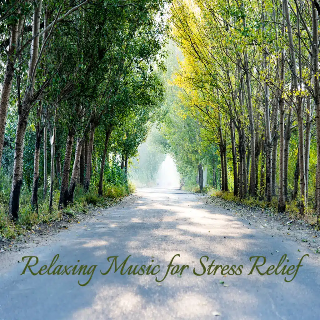 스트레스 해소에 좋은 마음 산책 음악