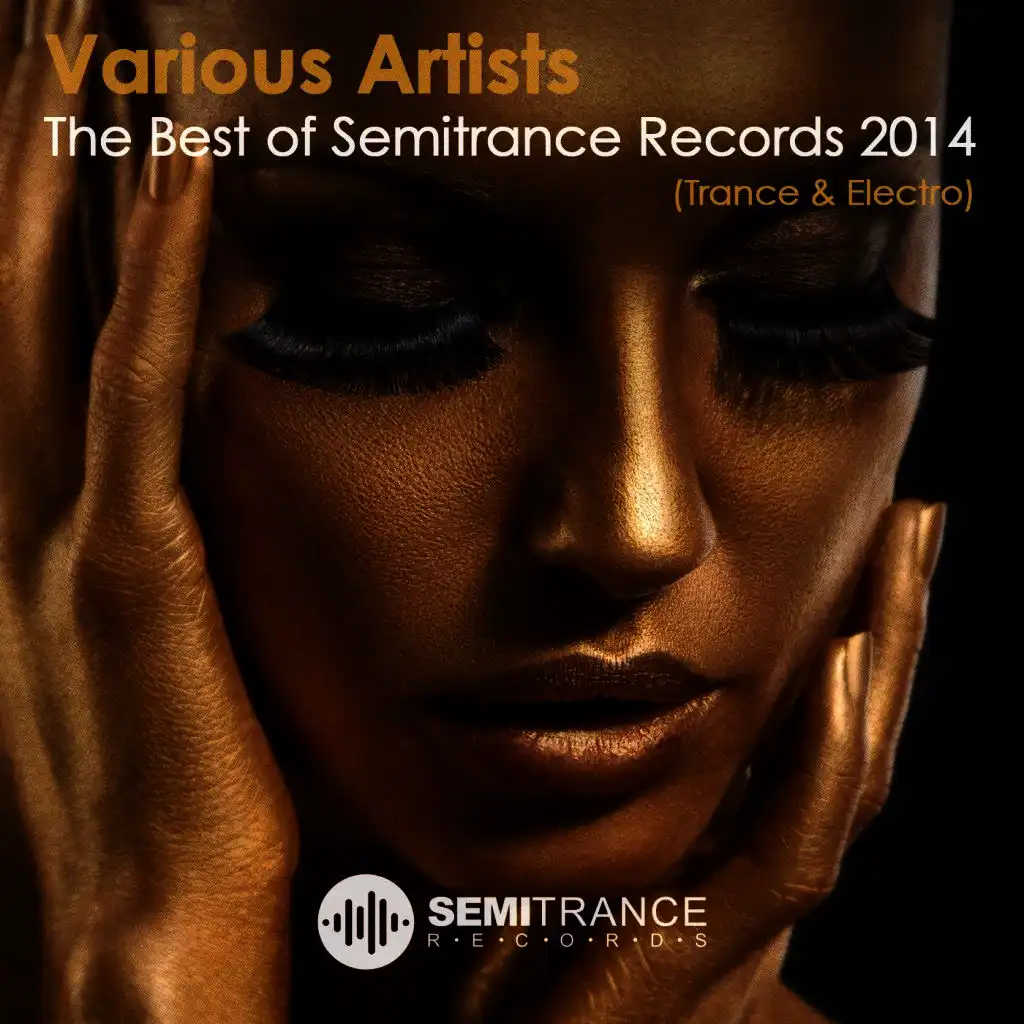 The Best of Semitrance Records 2014 (Trance & Electro)
