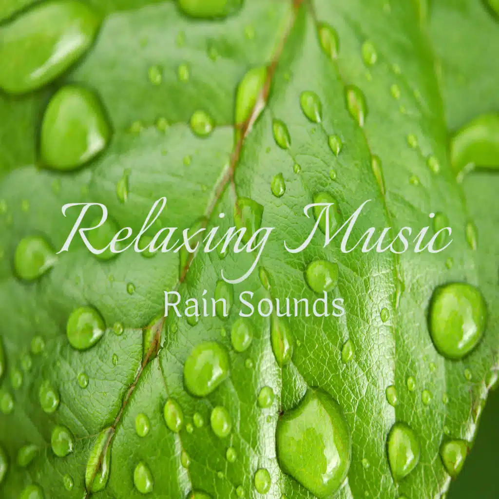 빗소리 상쾌한 명상 음악