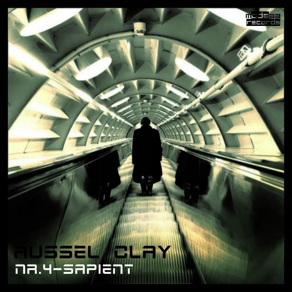 Nr. 4 - Sapient