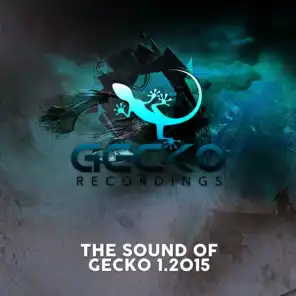 The Sound of Gecko 1.2015