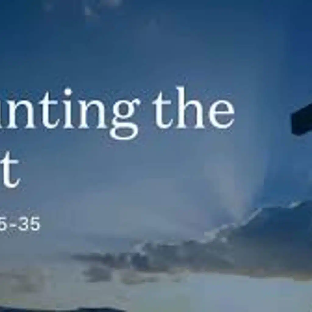 Homily for the Twenty-Third Sunday of Ordinary Time - Identity First, Then Action