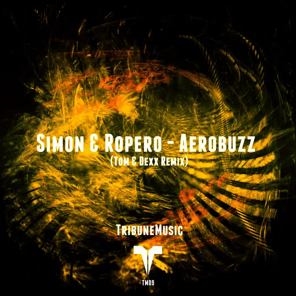 Aerobuzz (Tom & Dexx Remix)