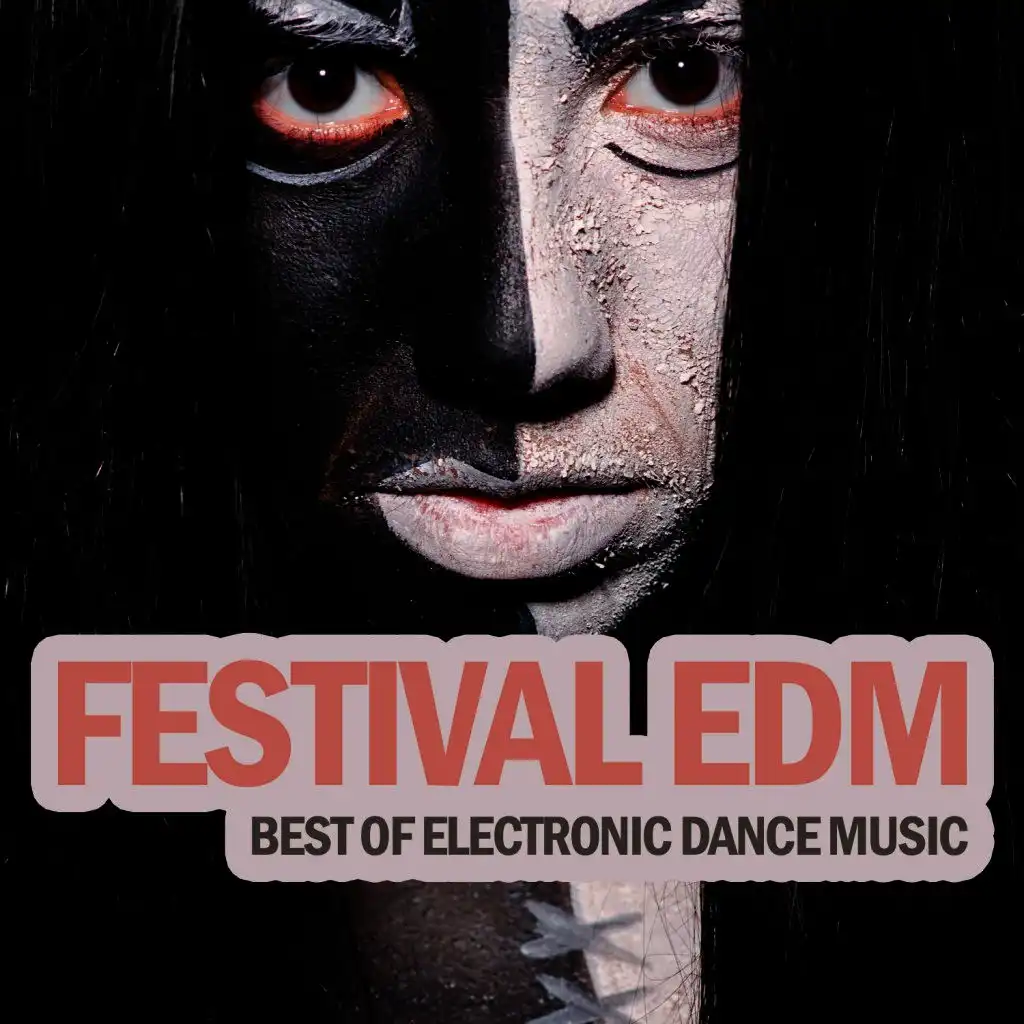 Festival EDM - Best of Electronic Dance Music