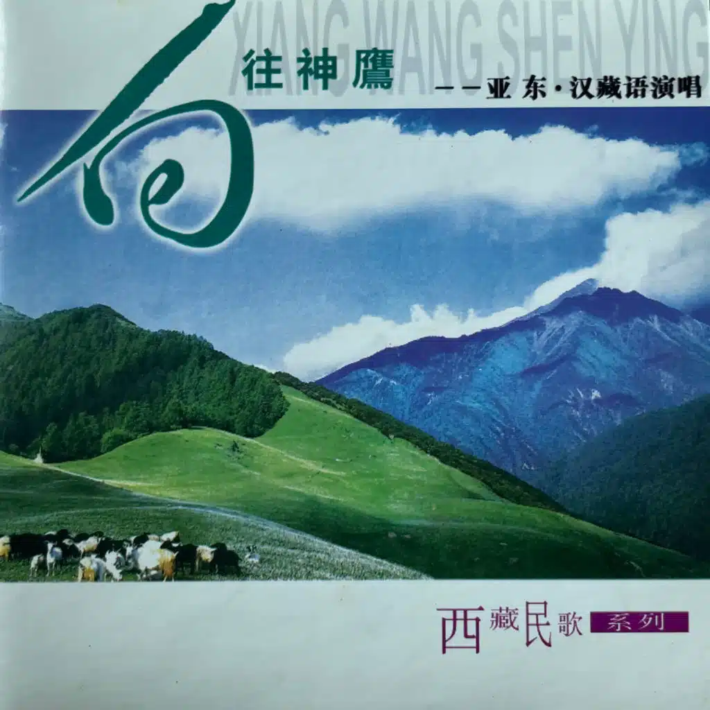 亚东