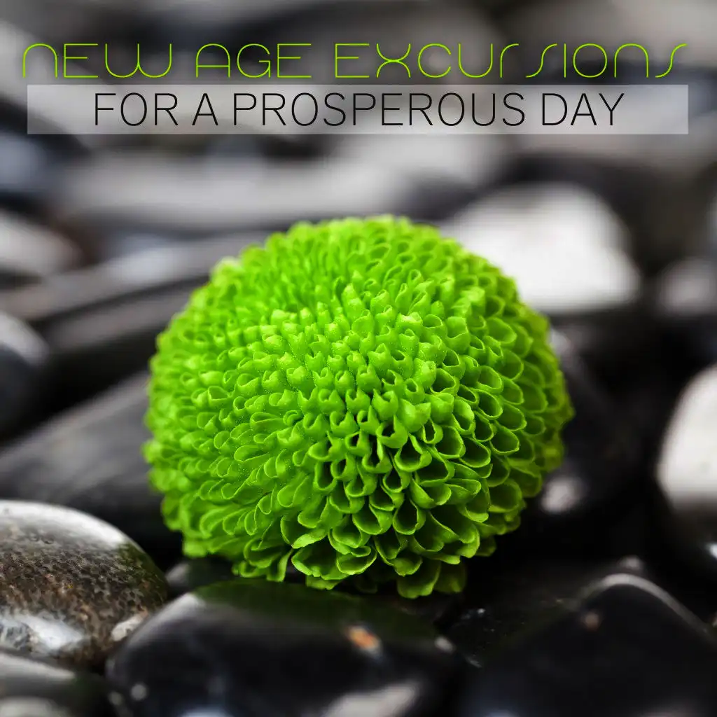 New Age Excursions for a Prosperous Day