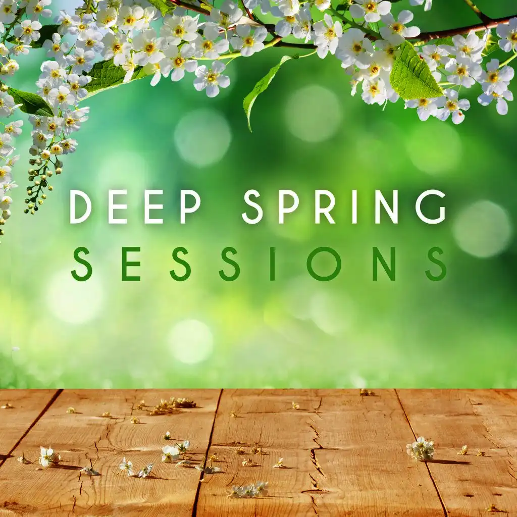 Deep Spring Sessions