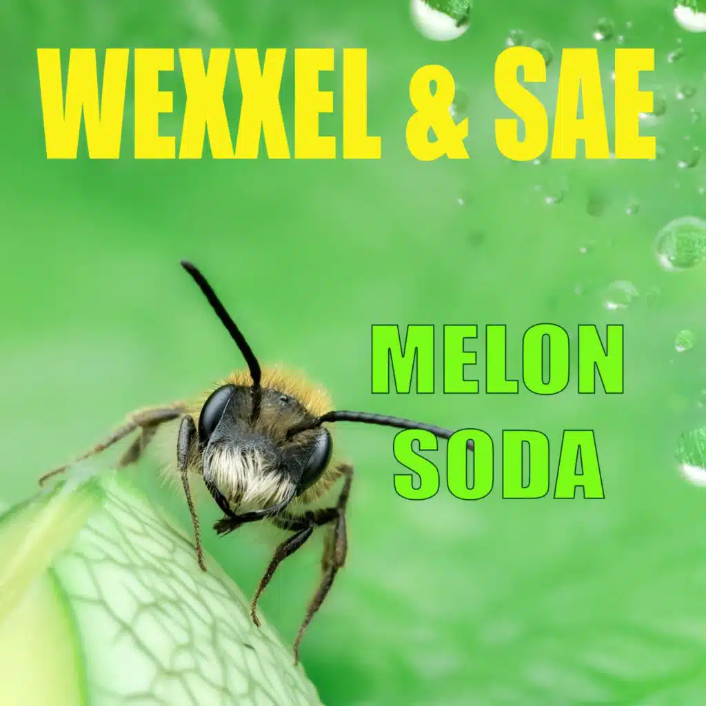 Wexxel & Sae